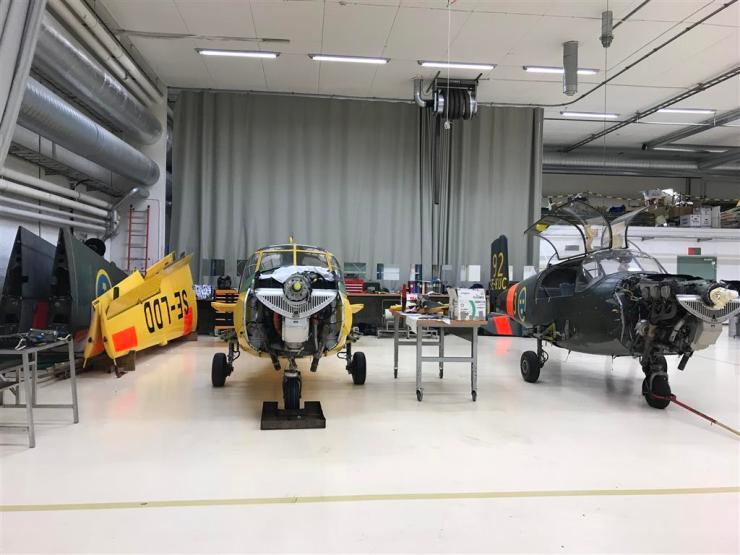 IMG_1345 (Medium) (Medium)