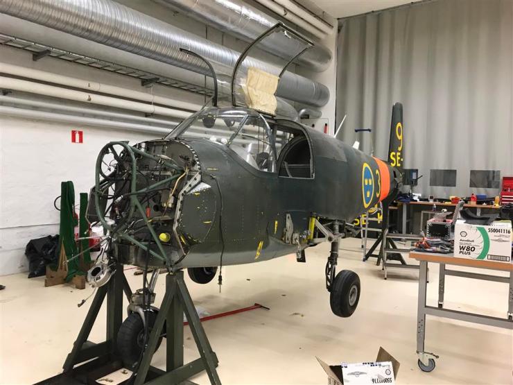 IMG_1733 (Medium) (2)